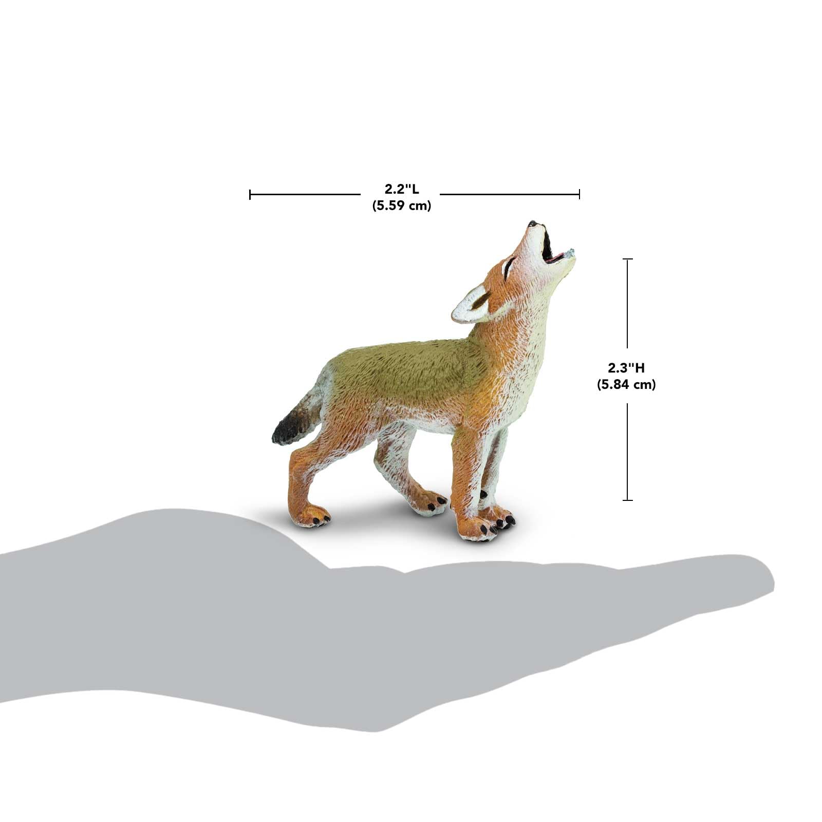 Amazon.co.jp: 227129 ﾚﾌﾟﾘｶ/ｺﾖｰﾃ(仔) : おもちゃ